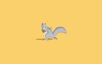 Squirrel with a nut wallpaper 1920x1080 jpg
