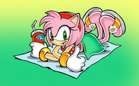 Amy Rose - Sonic the Hedgehog wallpaper 2880x1800 jpg