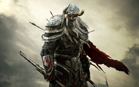 Barbarian - The Elder Scrolls Online wallpaper 1920x1080 jpg