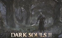Dark Souls II [7] wallpaper 1920x1080 jpg
