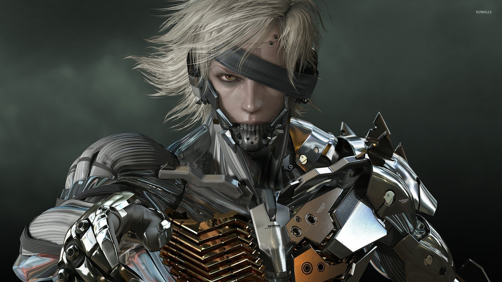Raiden Metal Gear Solid 2 Sons Of Liberty Wallpaper Game 