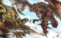 Rathalos vs Rathian - Monster Hunter Tri wallpaper 1920x1200 jpg