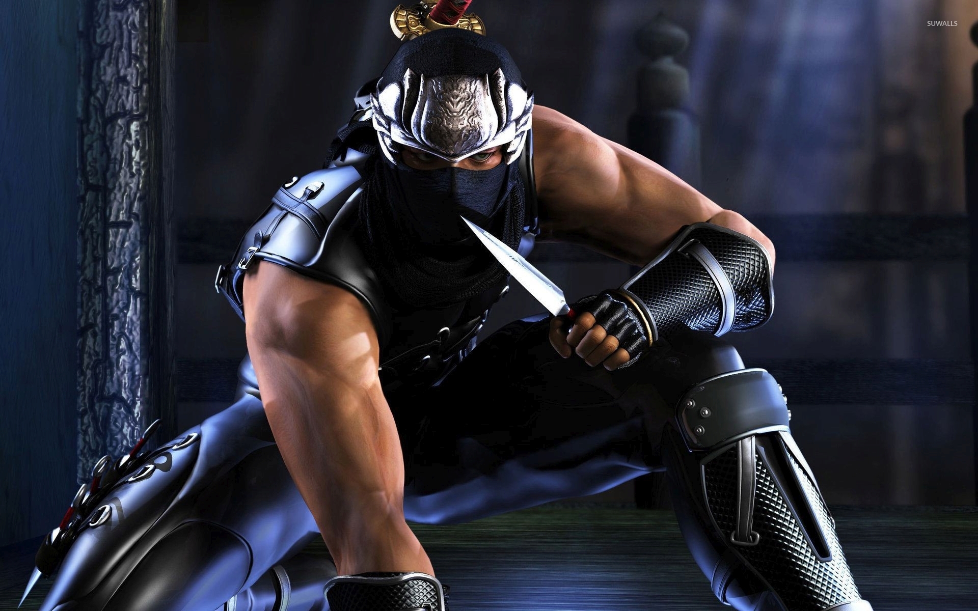 Ryu Hayabusa Ninja Gaiden Wallpaper Game Wallpapers 37560