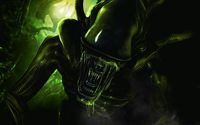 Scary green alien wallpaper 1920x1200 jpg