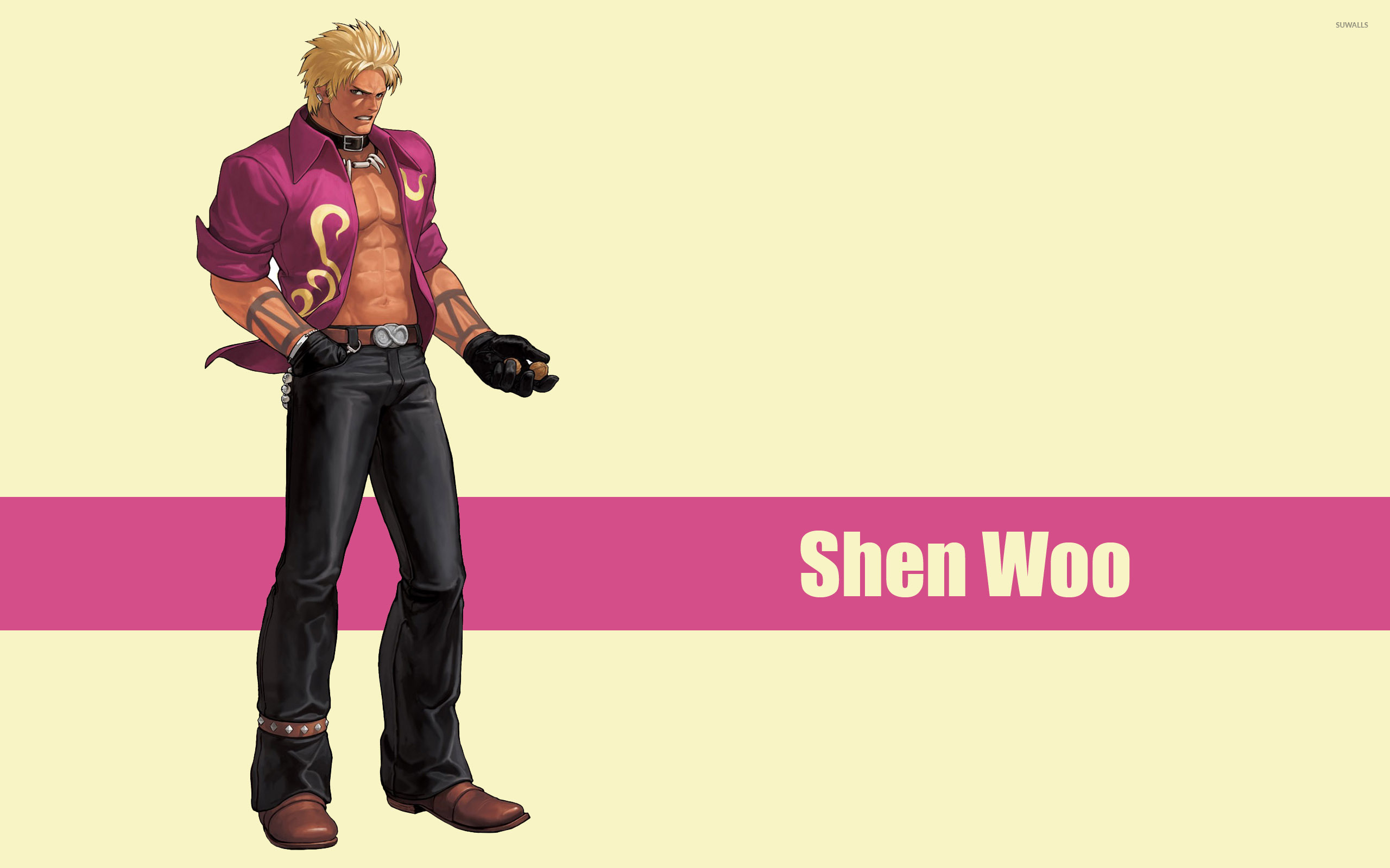 Shen Woo - The King of Fighters wallpaper - Game wallpapers - #30790