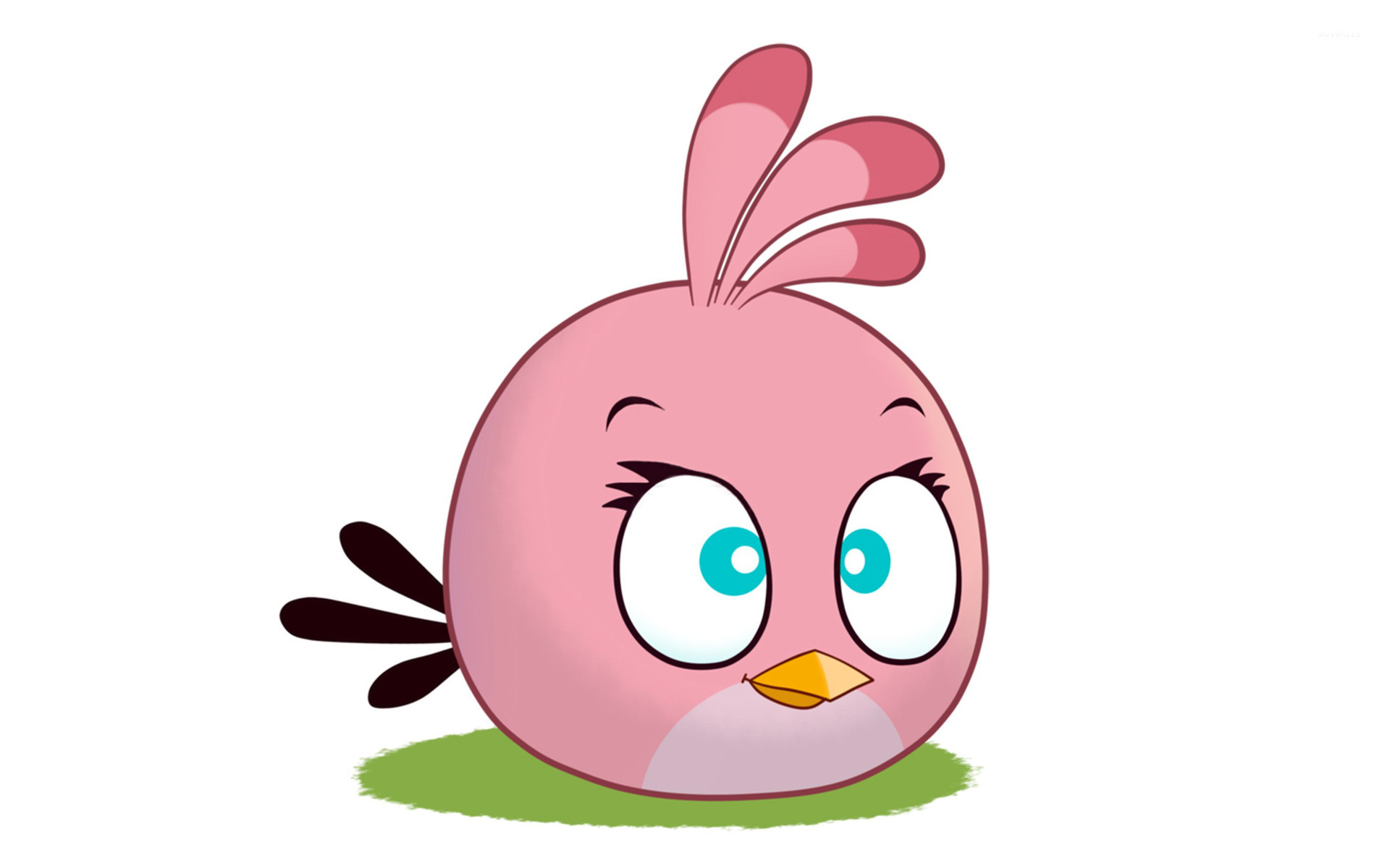 Stella Angry Birds Wallpaper Game Wallpapers 1