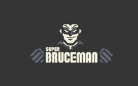 Super Bruceman wallpaper 1920x1200 jpg