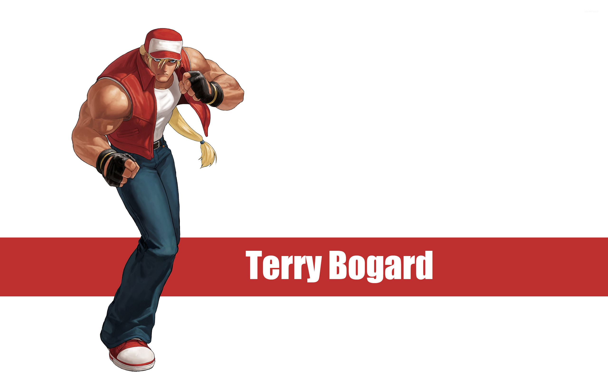 Terry Bogard - The King of Fighters wallpaper - Game ...