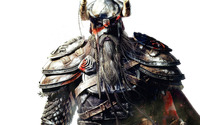 The Elder Scrolls Online [7] wallpaper 2560x1600 jpg