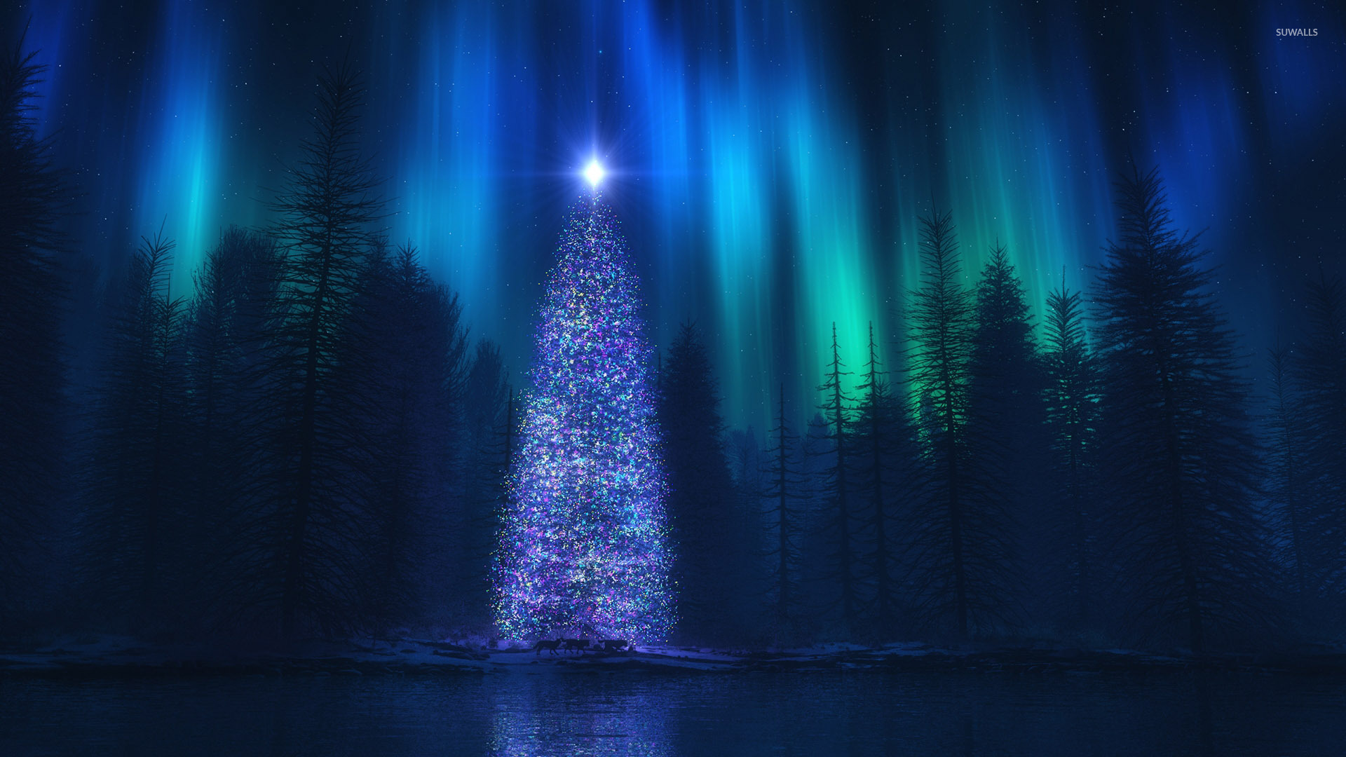 Christmas tree in the forest wallpaper - Holiday wallpapers - #34492