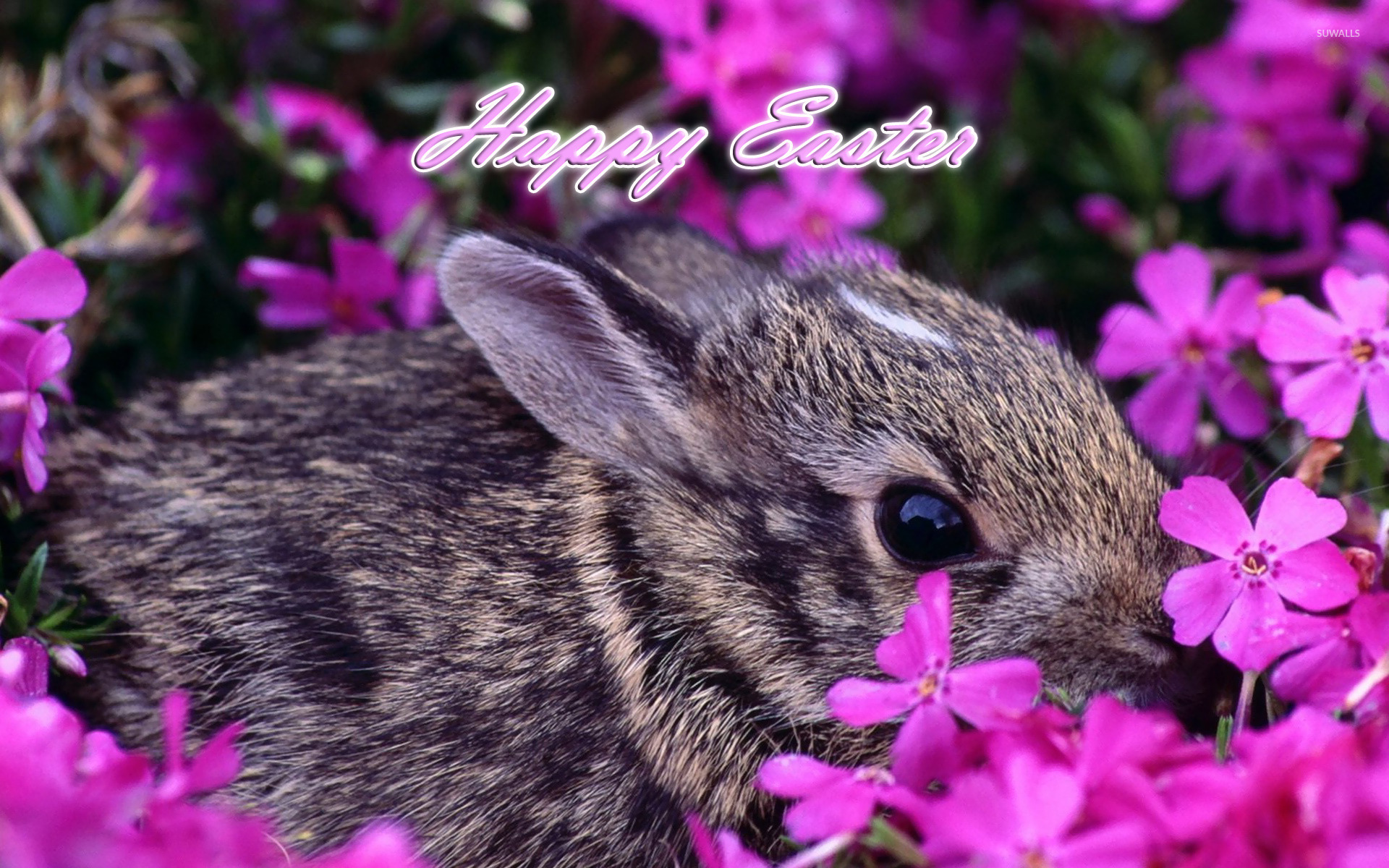 кролик с цветочками бесплатно
