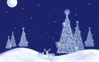 Glowing white Christmas trees on a beautiful winter night wallpaper 1920x1080 jpg