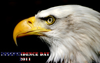 Independence Day wallpaper 2560x1600 jpg