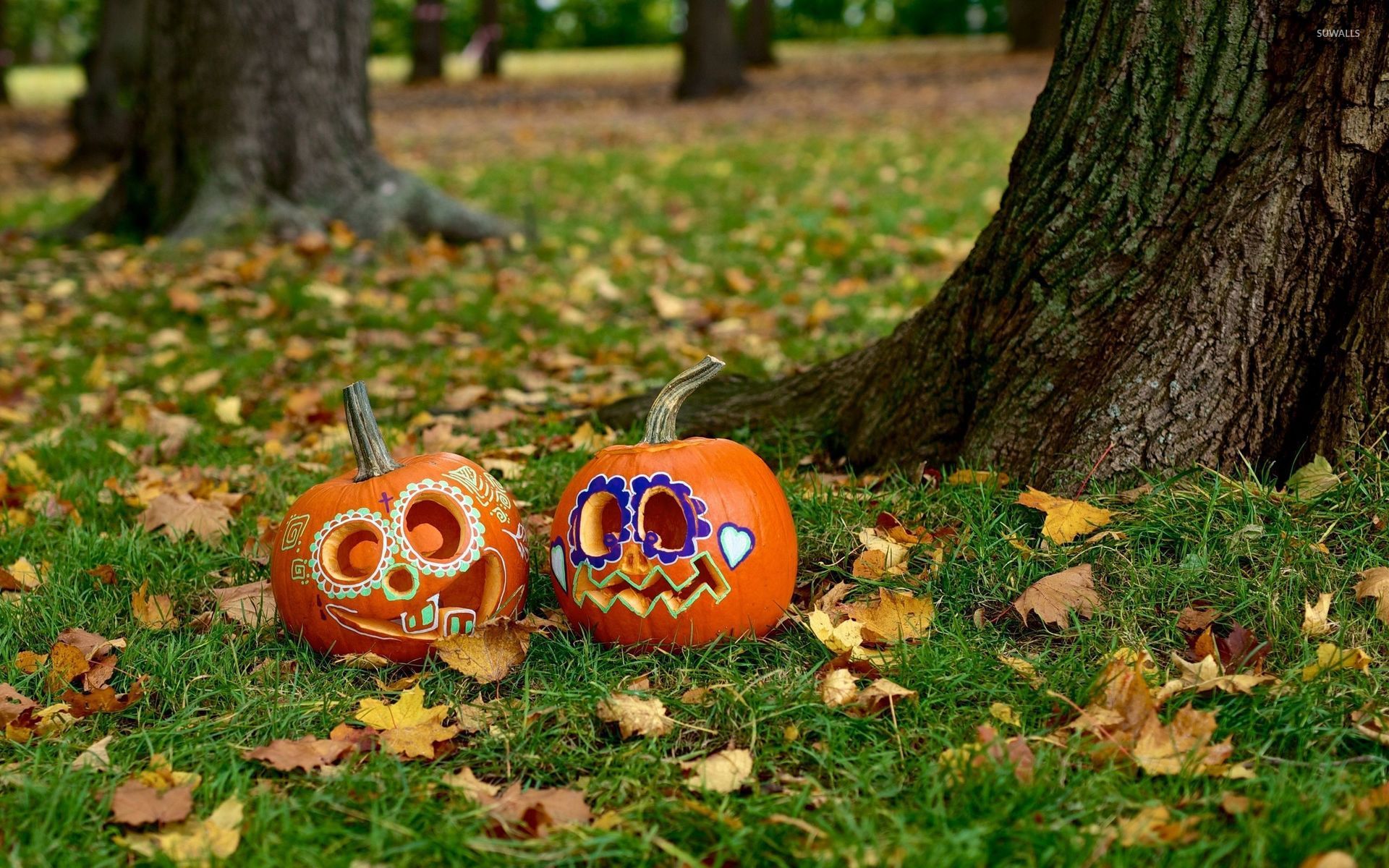 Pumpkins in the grass wallpaper - Holiday wallpapers - #52788