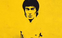 Bruce Lee [5] wallpaper 1920x1200 jpg
