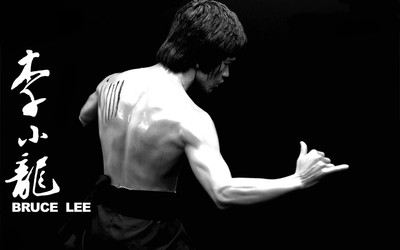 Bruce Lee [8] wallpaper