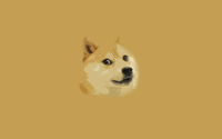 Doge [5] wallpaper 1920x1200 jpg