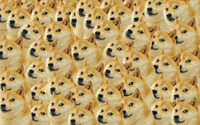 Doge pattern wallpaper 2880x1800 jpg
