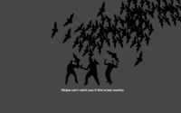Ninjas can't catch you if this is bat country wallpaper 1920x1200 jpg