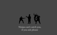 Ninjas can't catch you if you ask please wallpaper 1920x1200 jpg