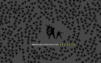 Ninjas can't catch you if you release the bees wallpaper 1920x1200 jpg