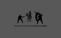 Ninjas can't catch you if your horse is amazing wallpaper 1920x1080 jpg