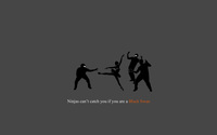Ninjas can't catch you if you're a Black Swan wallpaper 1920x1200 jpg