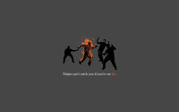 Ninjas can't catch you if you're on fire wallpaper 1920x1200 jpg