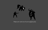 Ninjas can't catch you if you're pegasus pony wallpaper 1920x1200 jpg