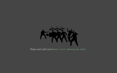 Ninjas can't catch you if you've been abducted by aliens wallpaper