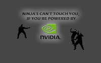 Ninjas vs Nvidia wallpaper 1920x1080 jpg