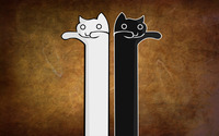 White and black longcats wallpaper 2560x1600 jpg