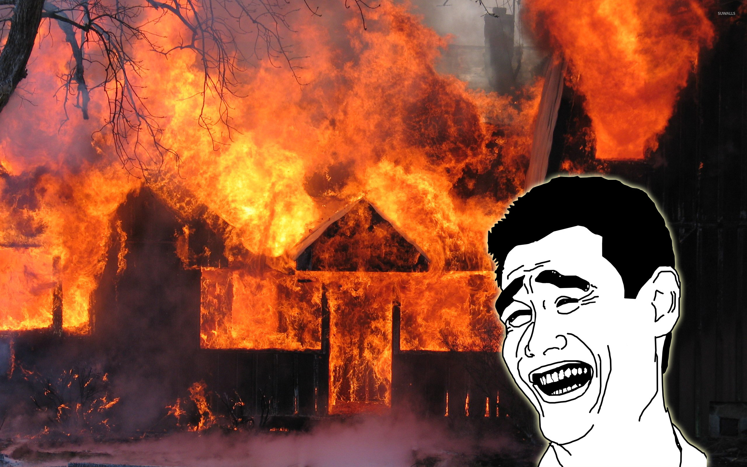 Мемы поджёг дом