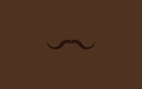 Brown moustache wallpaper 2560x1600 jpg