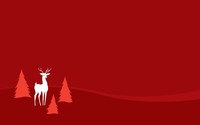 Deer between pine trees wallpaper 2560x1600 jpg