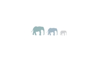Elephants [10] wallpaper 2560x1600 jpg