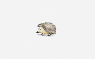 Hedgehog [9] wallpaper