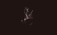 Hot coffee cup wallpaper 2560x1600 jpg