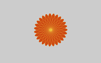 Spirograph flower wallpaper 2560x1600 jpg