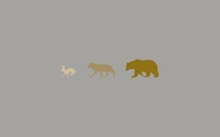 Wild animals wallpaper 2560x1600 jpg