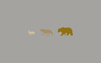 Wild animals Wallpaper