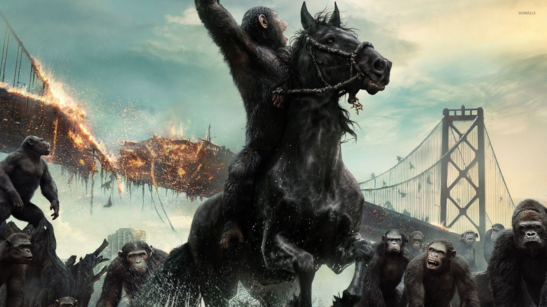 Dawn of the Planet of the Apes 2014 Xmovies8tv