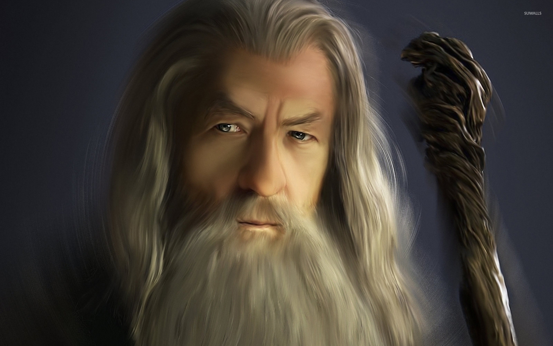Gandalf - Lord of the Rings wallpaper - Movie wallpapers - #45504