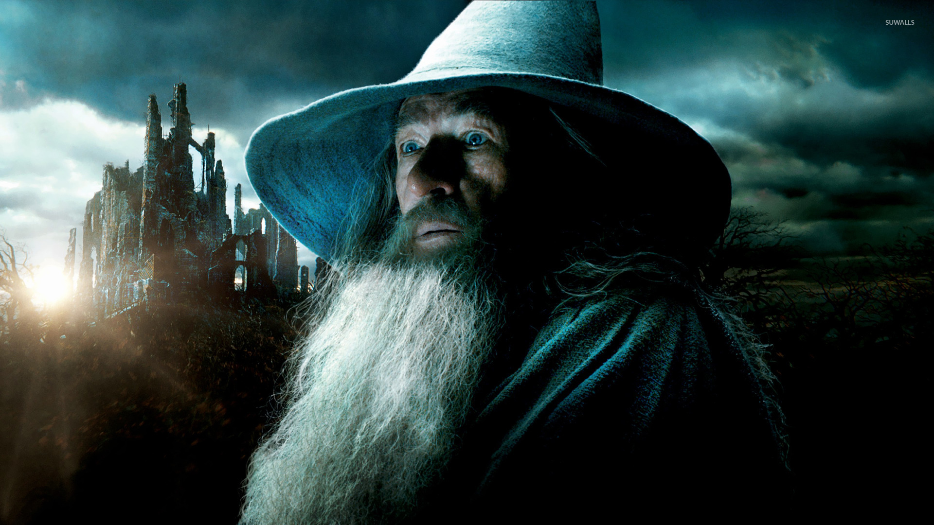 Gandalf - The Hobbit: The Desolation of Smaug [2] wallpaper - Movie  wallpapers - #26063