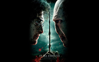 Harry Potter and the Deathly Hallows: Part 2 [3] wallpaper 2560x1600 jpg