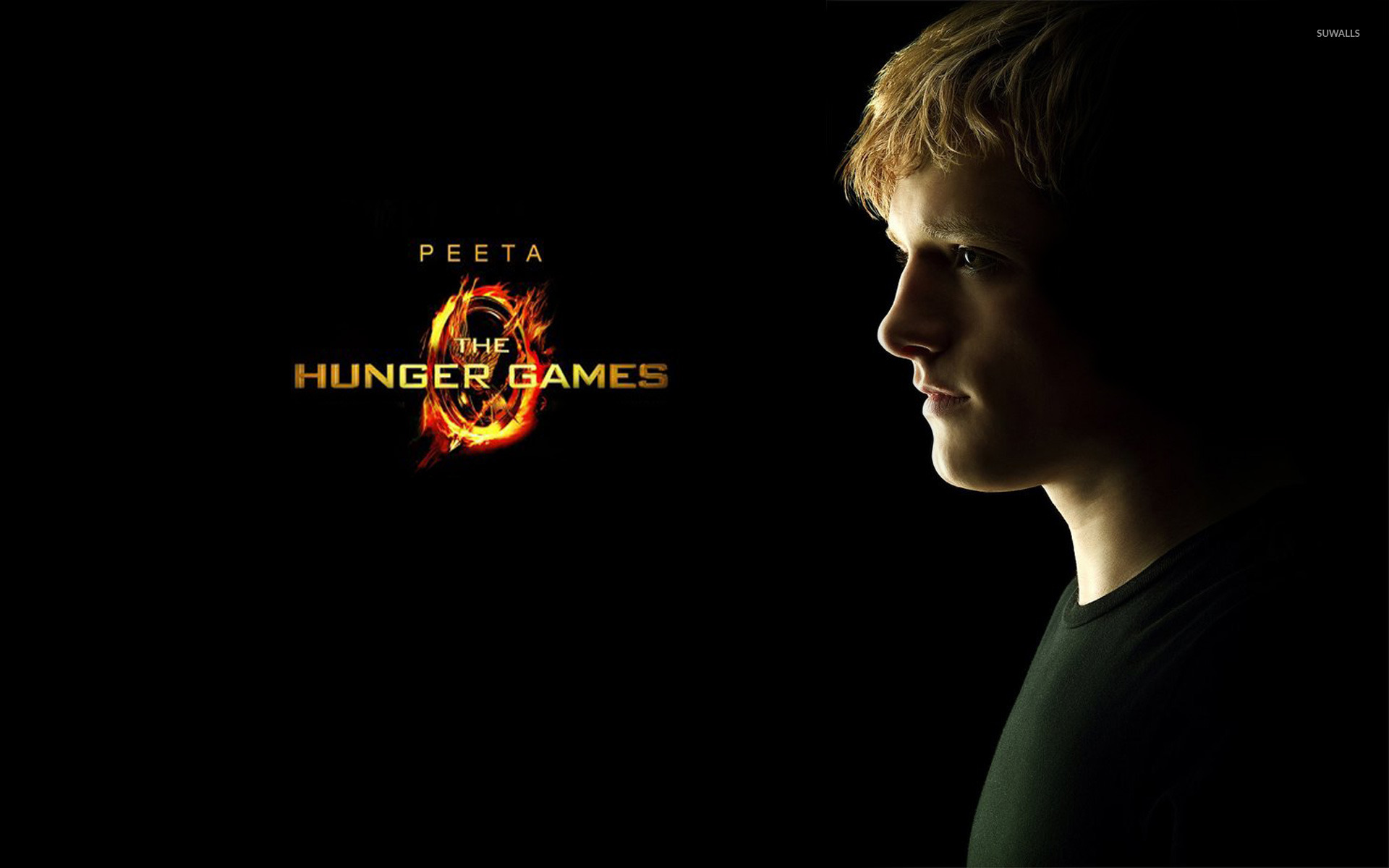 The Hunger Games Wallpapers  Wallpaper Cave