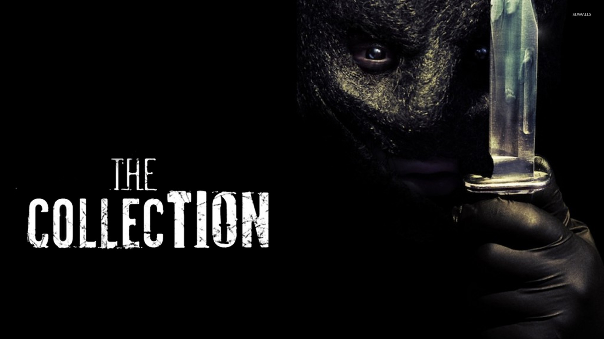 The Collector - The Collection wallpaper - Movie wallpapers - #16339