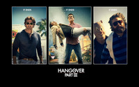 The Hangover Part III [2] wallpaper 1920x1200 jpg