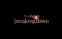 The Twilight Saga: Breaking Dawn: Part 1 [6] wallpaper 2560x1600 jpg