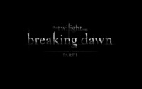 The Twilight Saga: Breaking Dawn: Part 1 [7] wallpaper 2560x1600 jpg